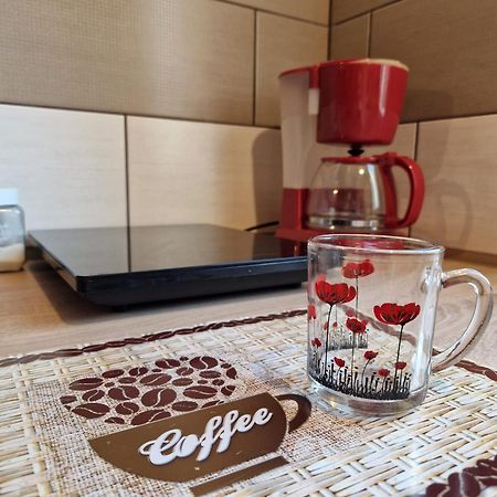 Ana Studio Hunedoara Dış mekan fotoğraf
